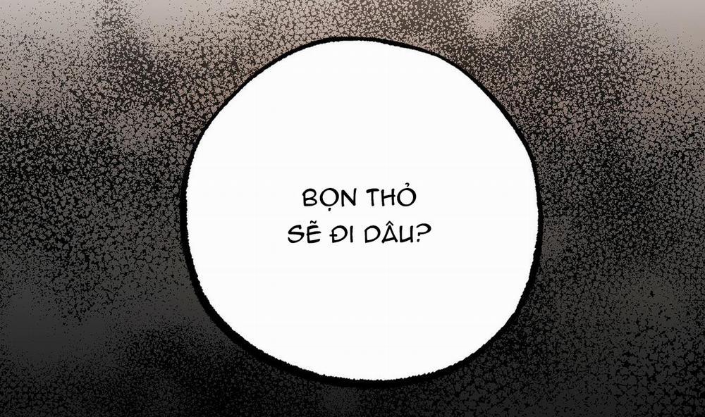 Những Chú Thỏ Của Hapypy 34 trang 216