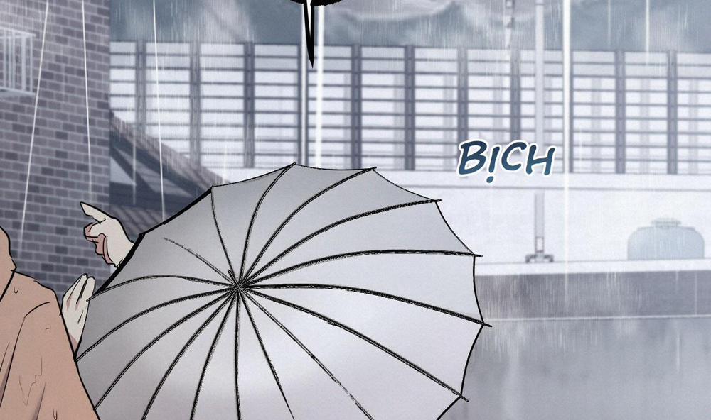 Những Chú Thỏ Của Hapypy 34 trang 233