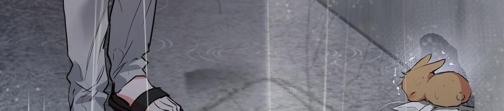 Những Chú Thỏ Của Hapypy 34 trang 264