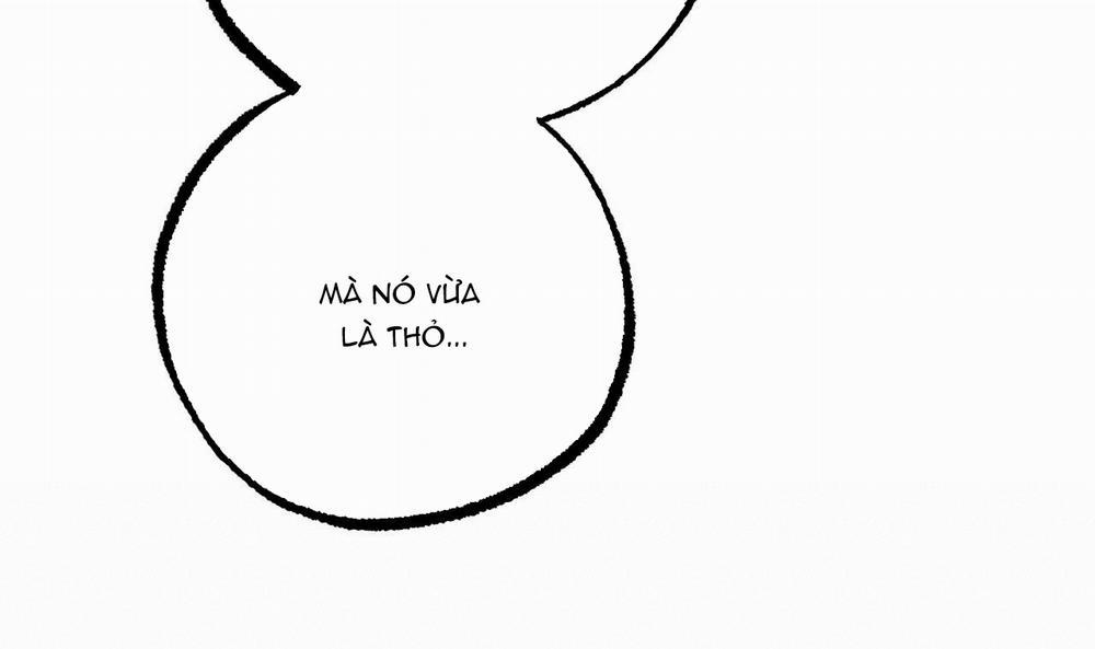 Những Chú Thỏ Của Hapypy 34 trang 32