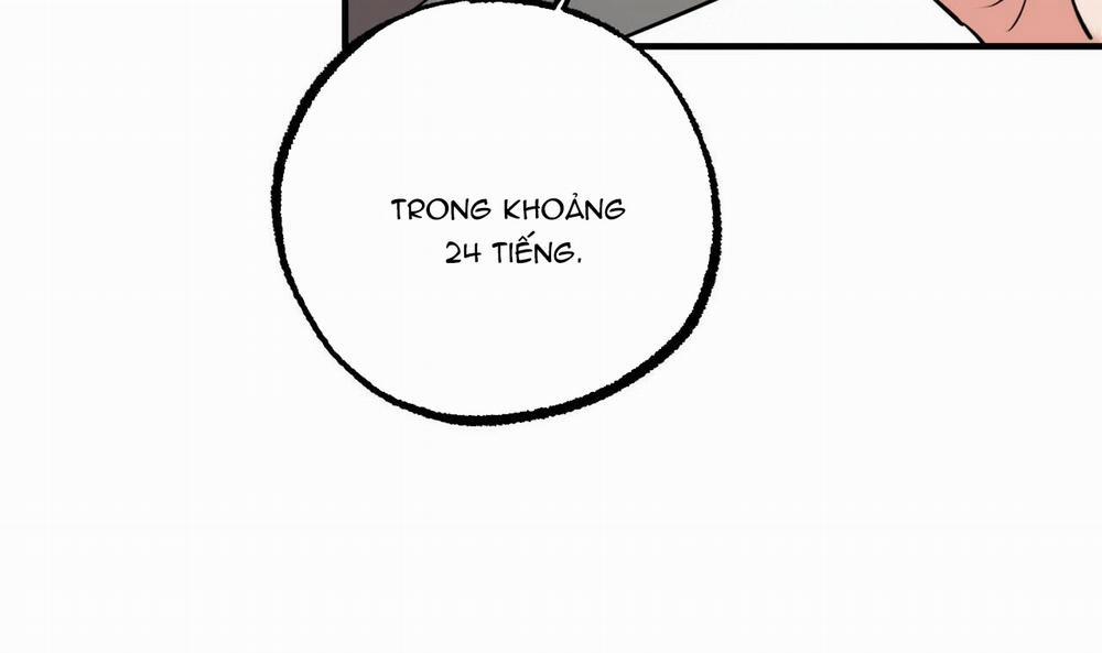 Những Chú Thỏ Của Hapypy 34 trang 50