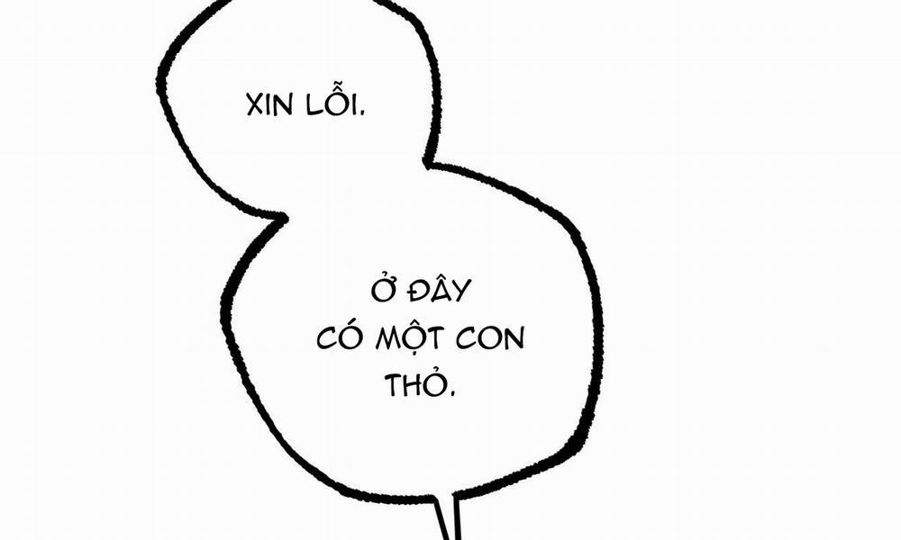 Những Chú Thỏ Của Hapypy 35 trang 15