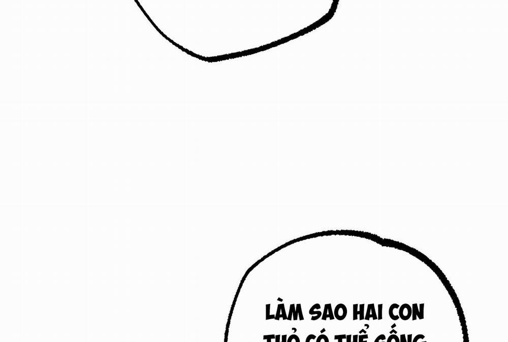 Những Chú Thỏ Của Hapypy 35 trang 163