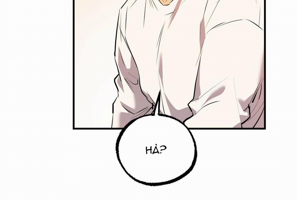 Những Chú Thỏ Của Hapypy 35 trang 208