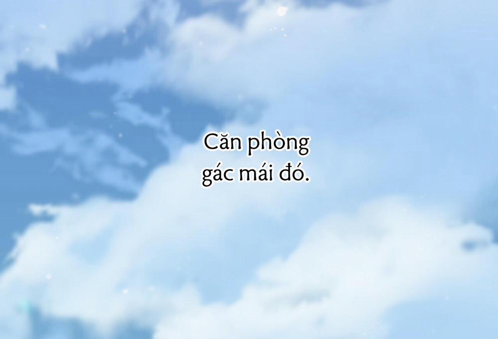 Những Chú Thỏ Của Hapypy 35 trang 227