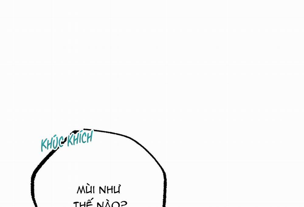 Những Chú Thỏ Của Hapypy 35 trang 236