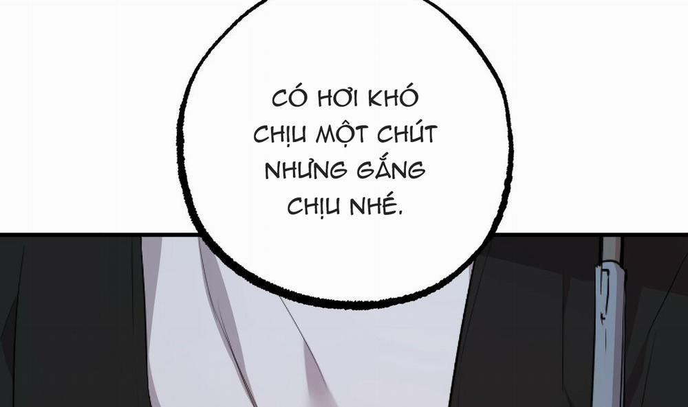 Những Chú Thỏ Của Hapypy 35 trang 30