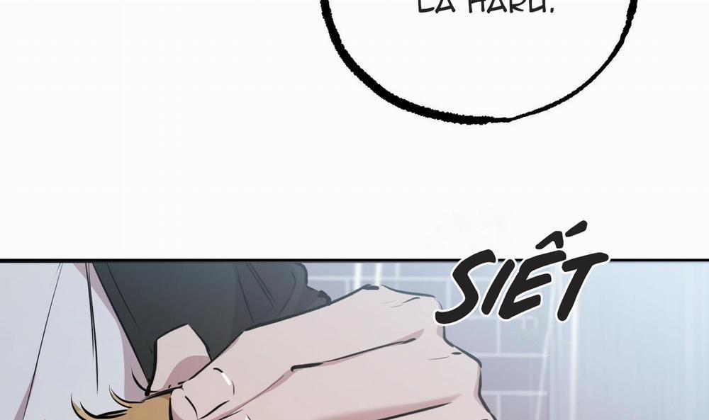 Những Chú Thỏ Của Hapypy 35 trang 50