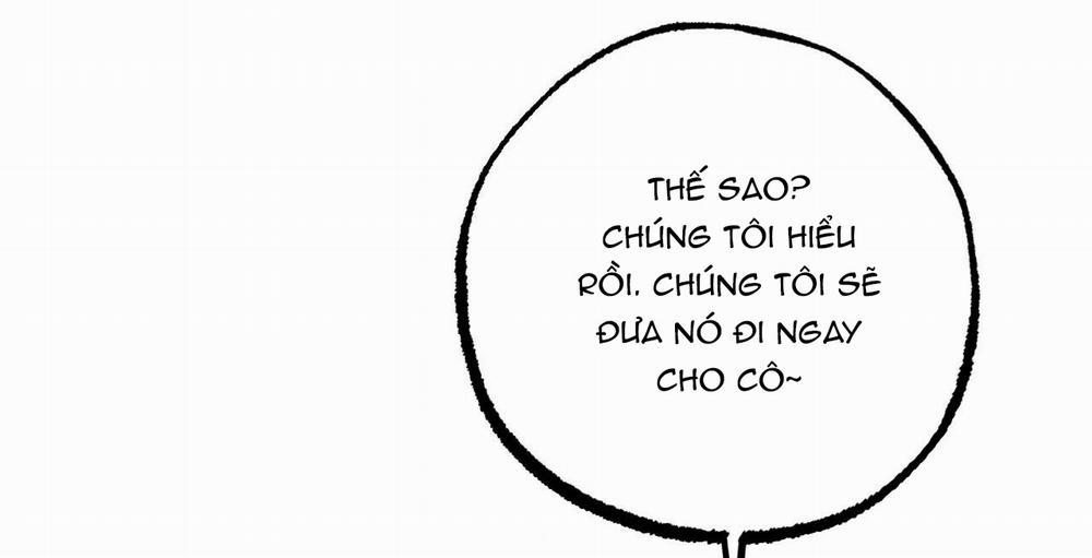 Những Chú Thỏ Của Hapypy 36 trang 109