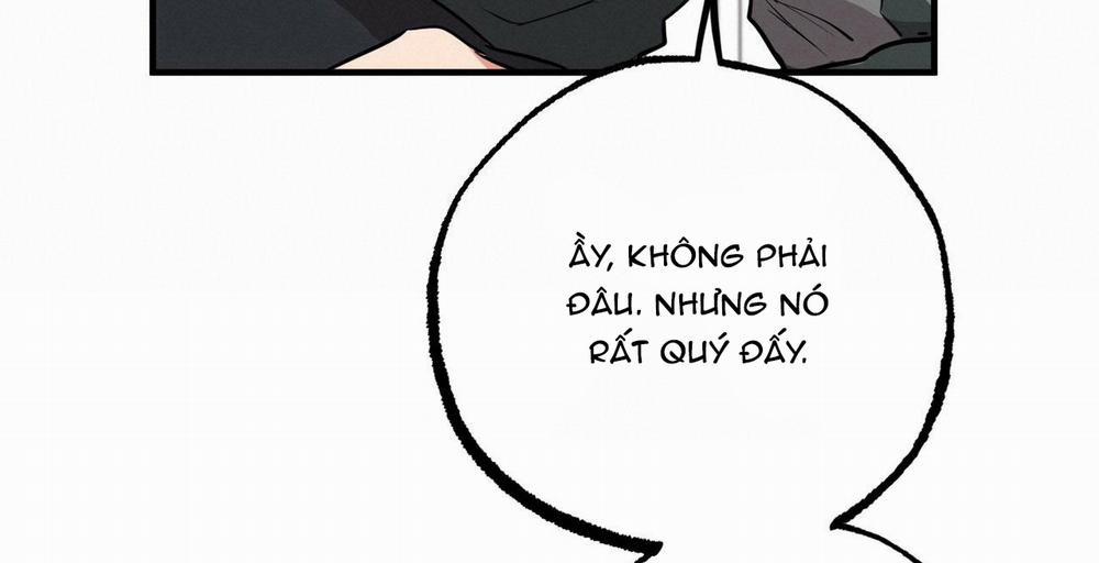 Những Chú Thỏ Của Hapypy 36 trang 155