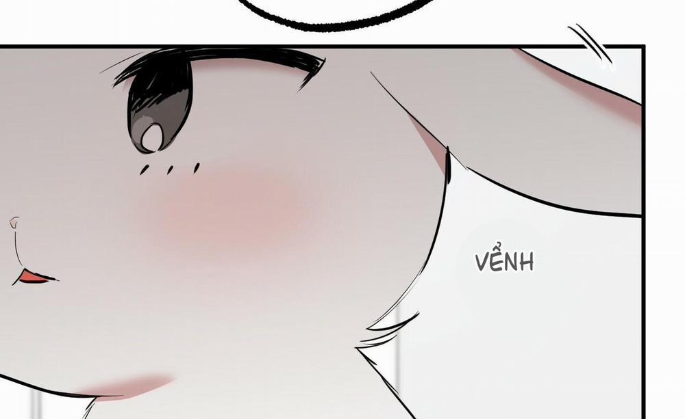 Những Chú Thỏ Của Hapypy 36 trang 18