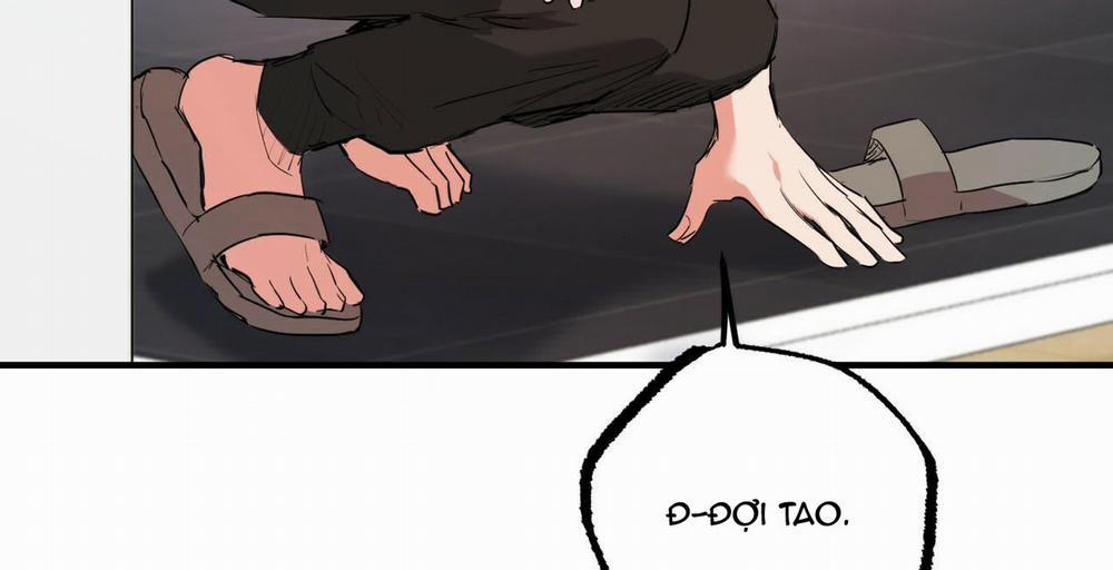 Những Chú Thỏ Của Hapypy 36 trang 221