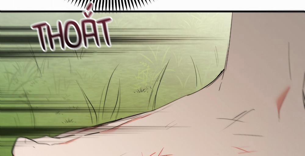 Những Chú Thỏ Của Hapypy 36 trang 229