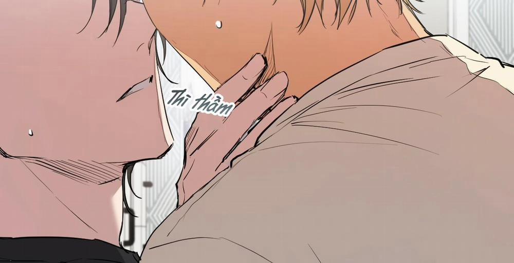 Những Chú Thỏ Của Hapypy 36 trang 234