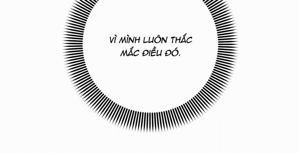 Những Chú Thỏ Của Hapypy 36 trang 243