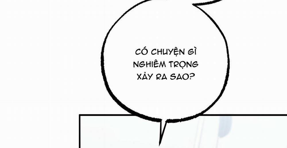 Những Chú Thỏ Của Hapypy 36 trang 249