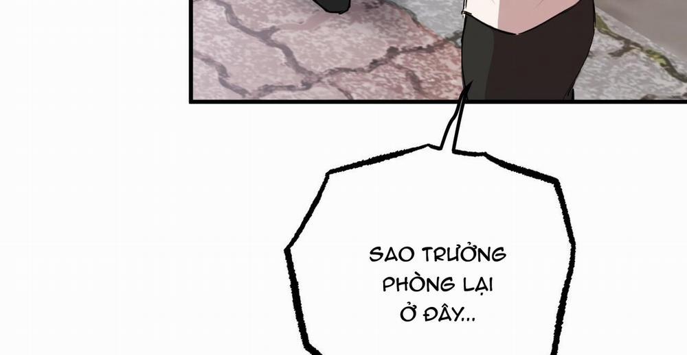 Những Chú Thỏ Của Hapypy 36 trang 252