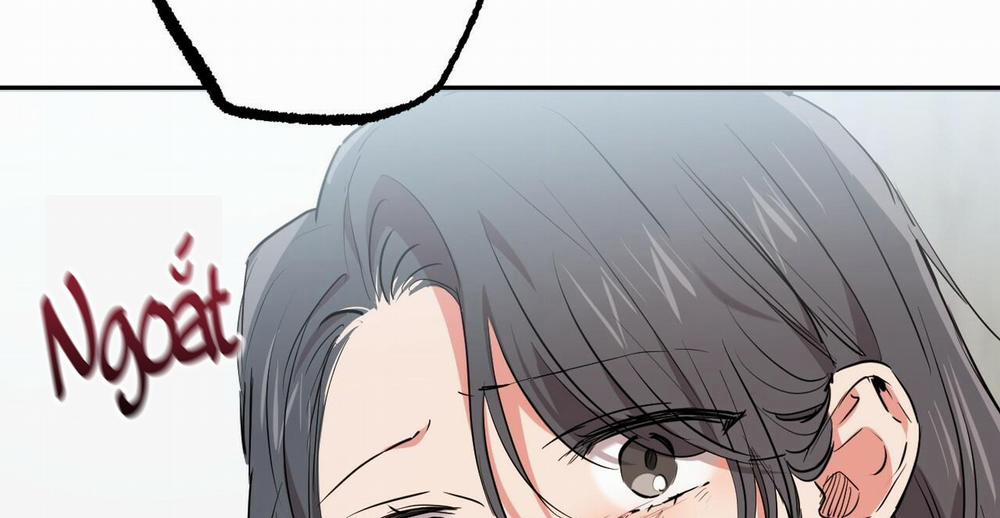 Những Chú Thỏ Của Hapypy 36 trang 255