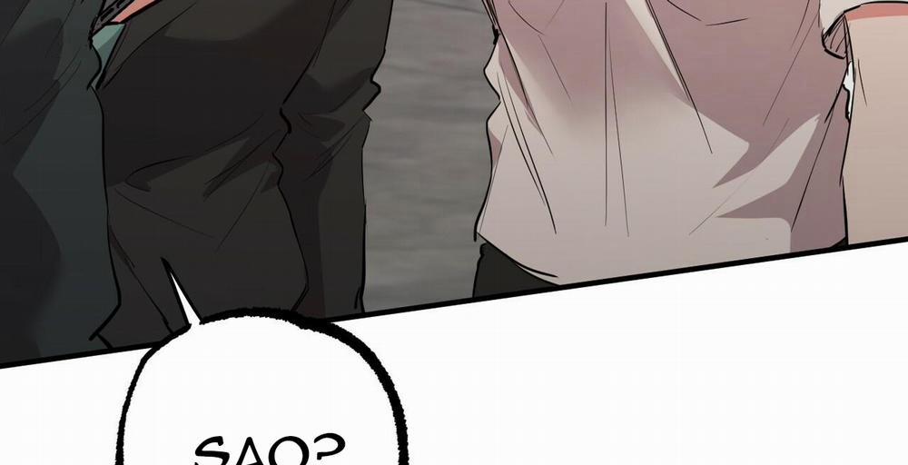 Những Chú Thỏ Của Hapypy 36 trang 277