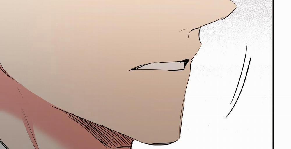 Những Chú Thỏ Của Hapypy 36 trang 297