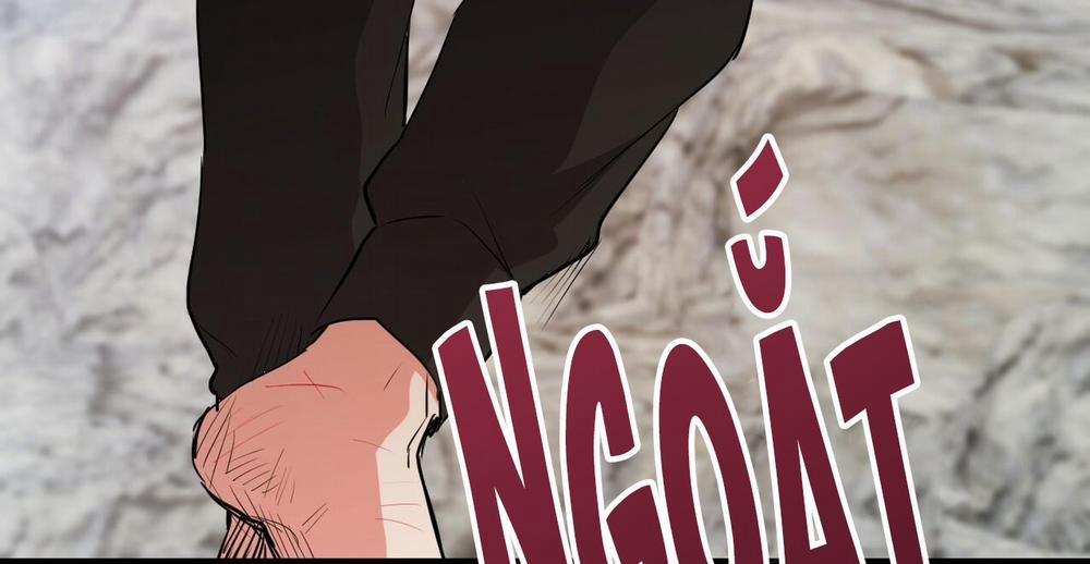 Những Chú Thỏ Của Hapypy 36 trang 327