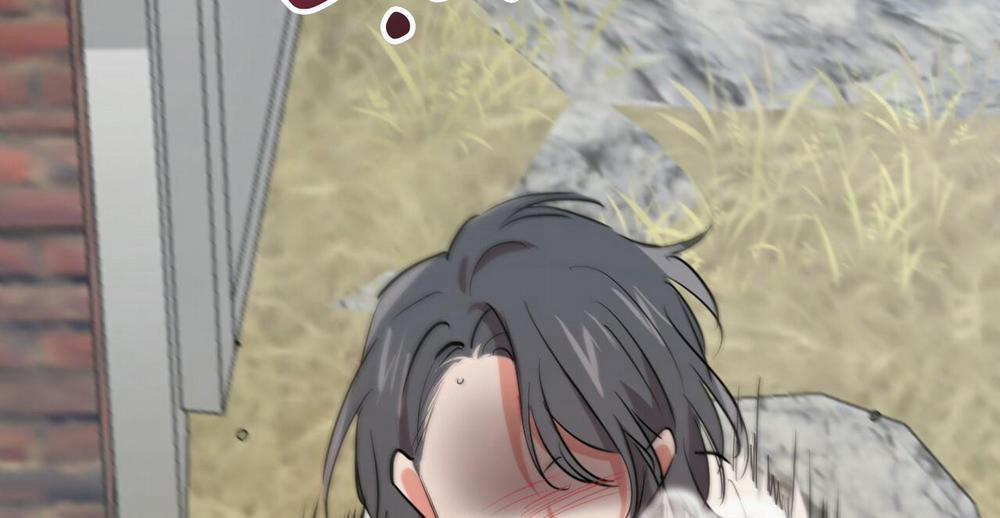 Những Chú Thỏ Của Hapypy 36 trang 336