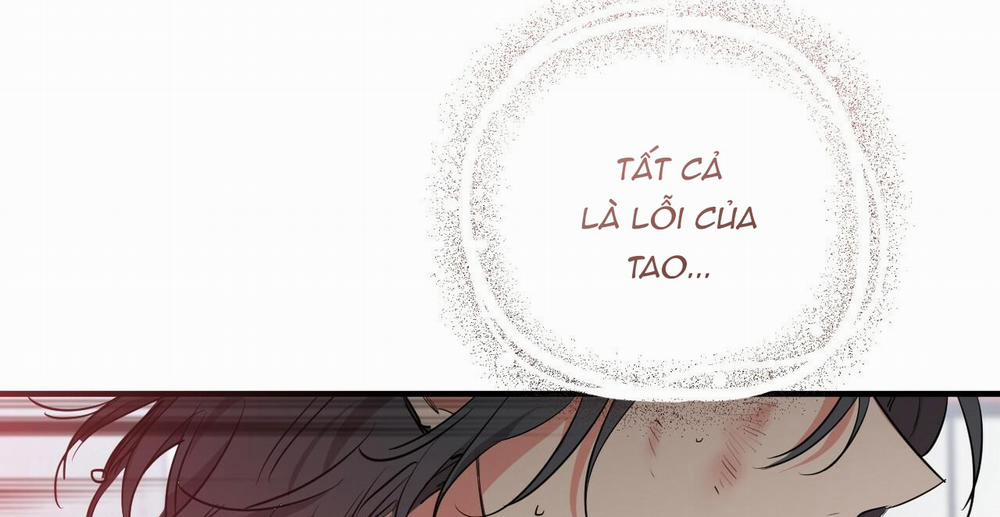 Những Chú Thỏ Của Hapypy 36 trang 341