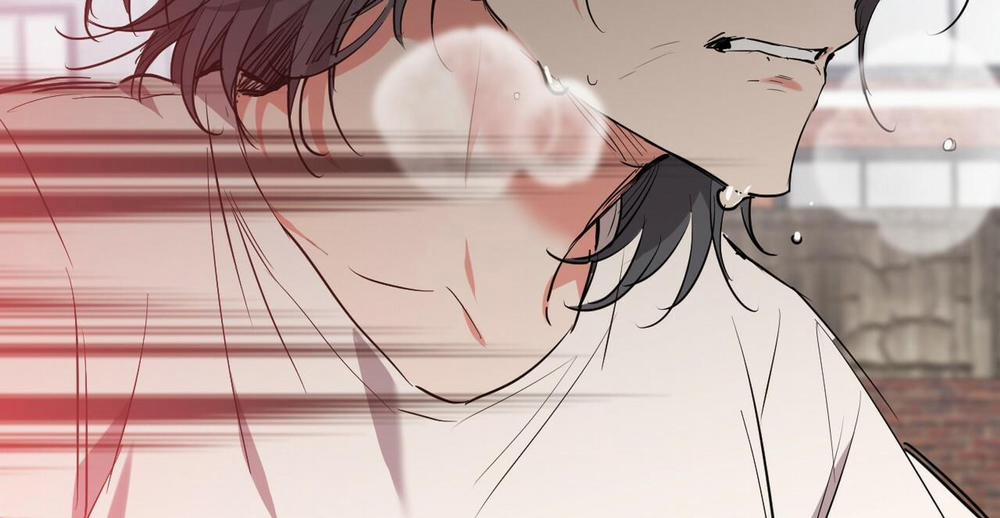 Những Chú Thỏ Của Hapypy 36 trang 342