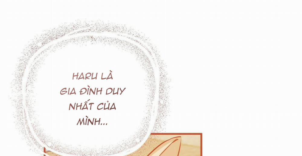 Những Chú Thỏ Của Hapypy 36 trang 344