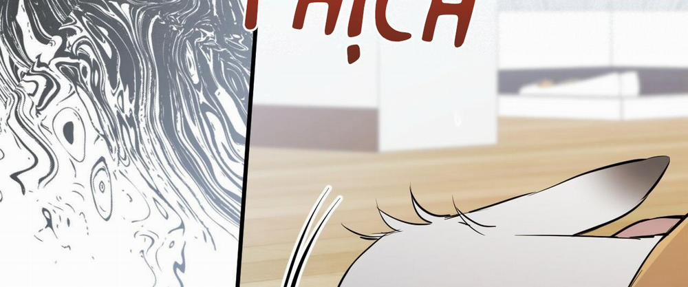 Những Chú Thỏ Của Hapypy 36 trang 36