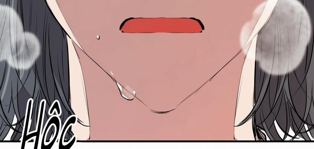 Những Chú Thỏ Của Hapypy 36 trang 362