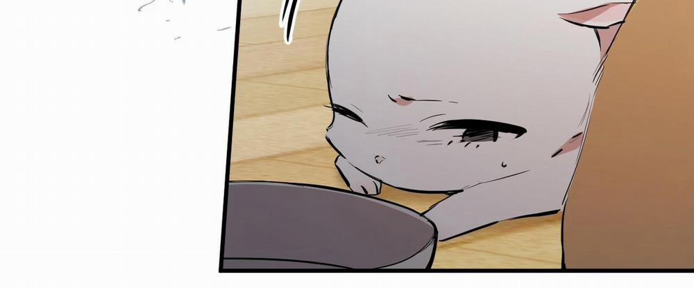 Những Chú Thỏ Của Hapypy 36 trang 37