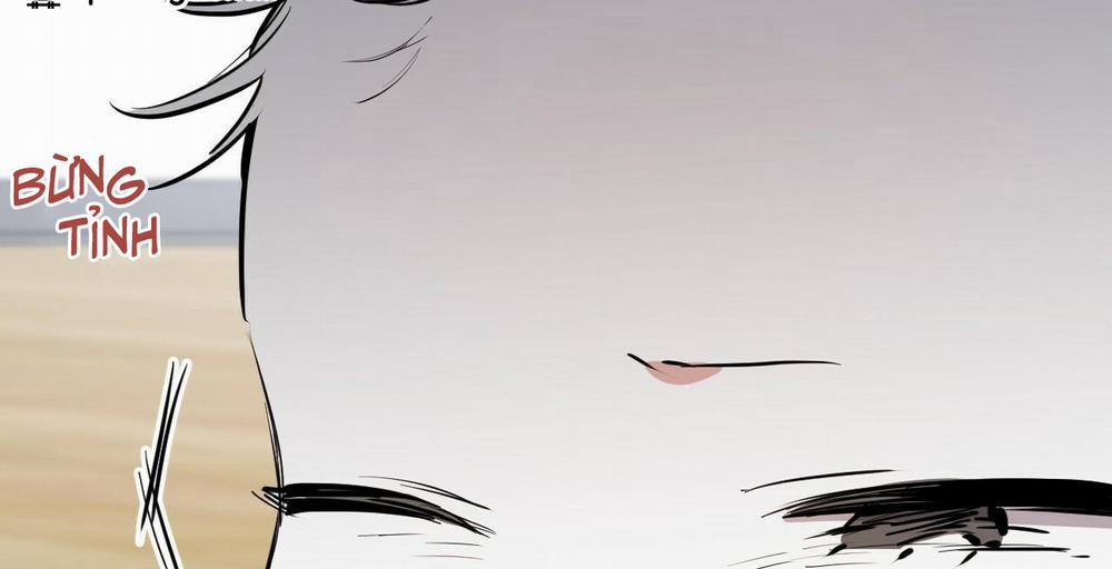 Những Chú Thỏ Của Hapypy 36 trang 62