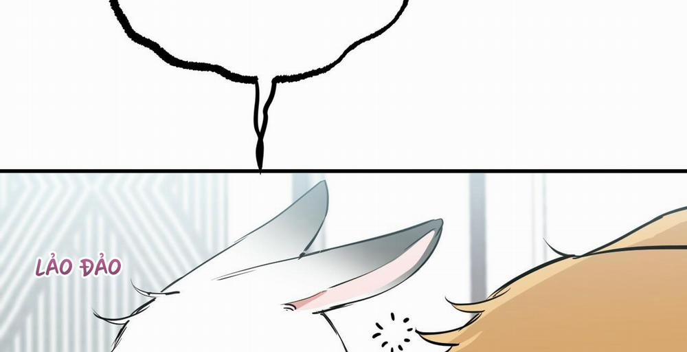 Những Chú Thỏ Của Hapypy 36 trang 66