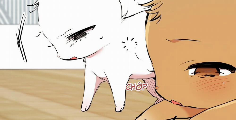 Những Chú Thỏ Của Hapypy 36 trang 67