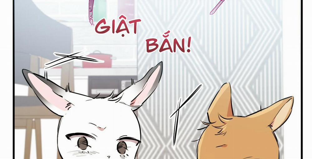 Những Chú Thỏ Của Hapypy 36 trang 71