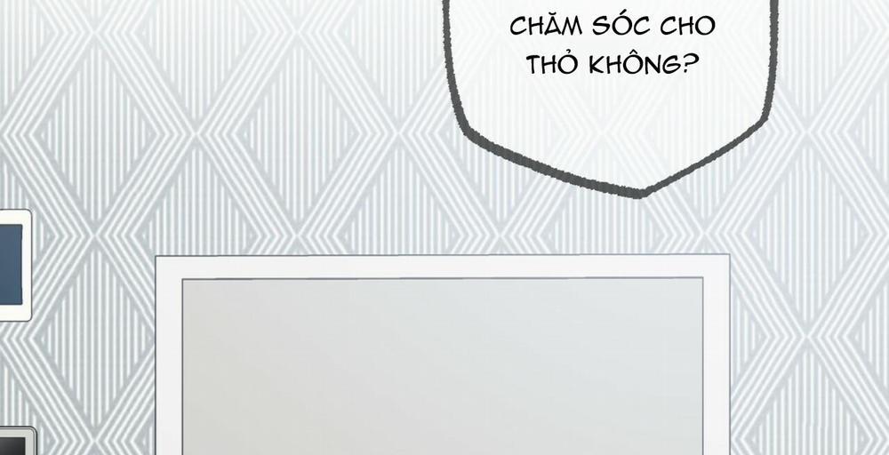 Những Chú Thỏ Của Hapypy 36 trang 75