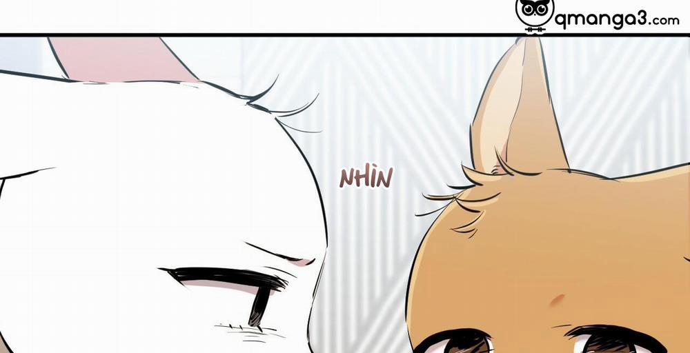 Những Chú Thỏ Của Hapypy 36 trang 80