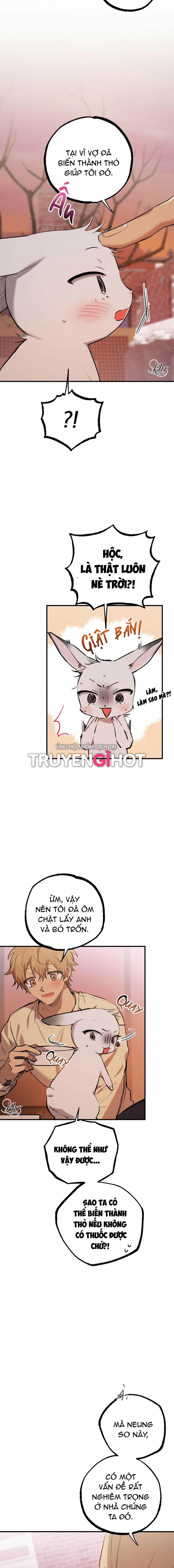 Những Chú Thỏ Của Hapypy 37.5 trang 0