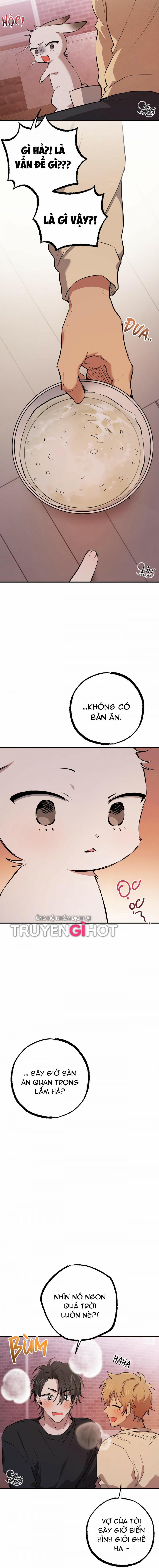 Những Chú Thỏ Của Hapypy 37.5 trang 1