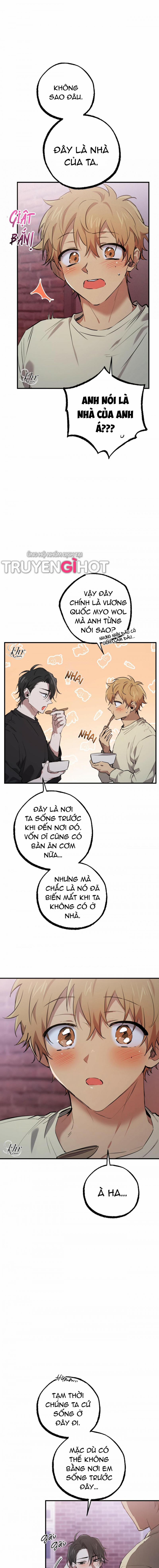 Những Chú Thỏ Của Hapypy 37.5 trang 3