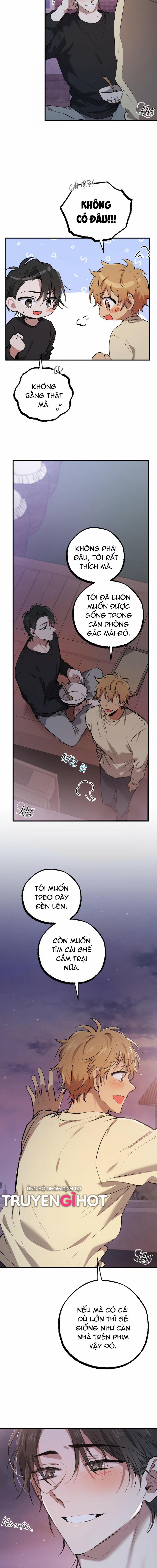 Những Chú Thỏ Của Hapypy 37.5 trang 4