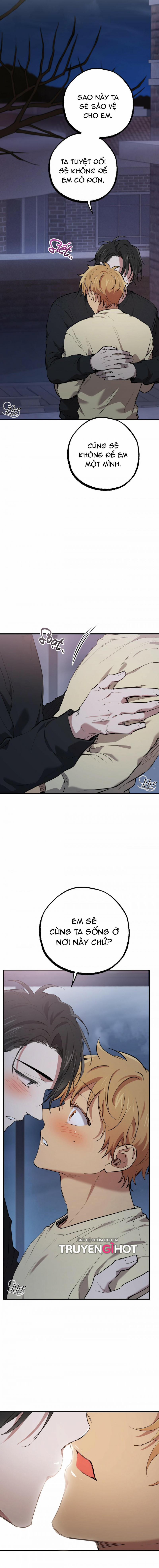 Những Chú Thỏ Của Hapypy 37.5 trang 7