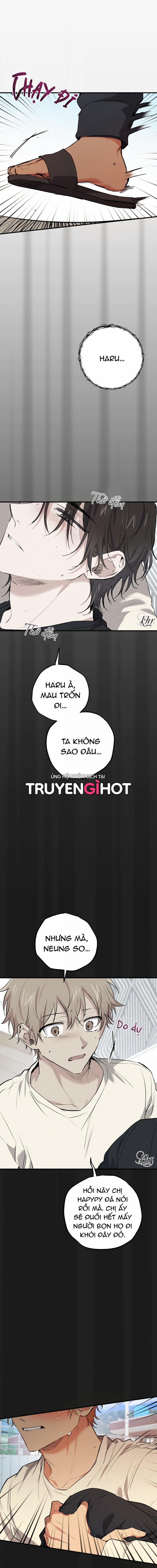 Những Chú Thỏ Của Hapypy 37 trang 0