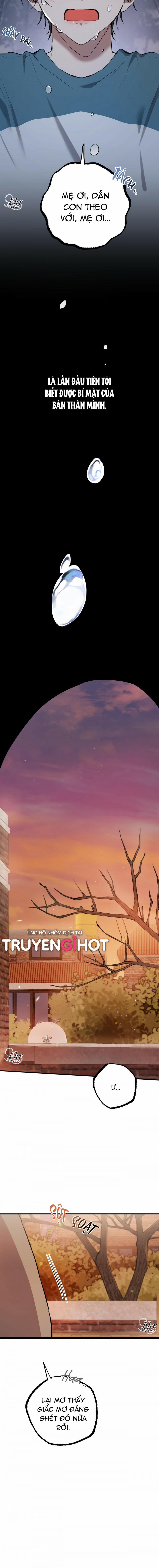 Những Chú Thỏ Của Hapypy 37 trang 6