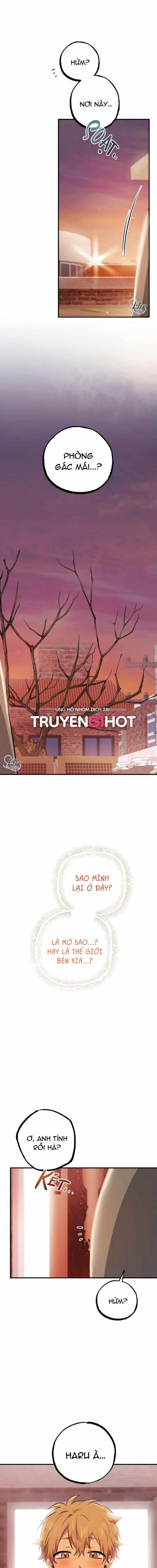 Những Chú Thỏ Của Hapypy 37 trang 7