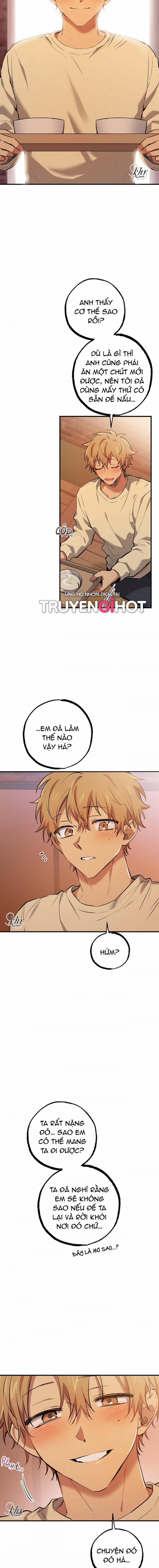 Những Chú Thỏ Của Hapypy 37 trang 8