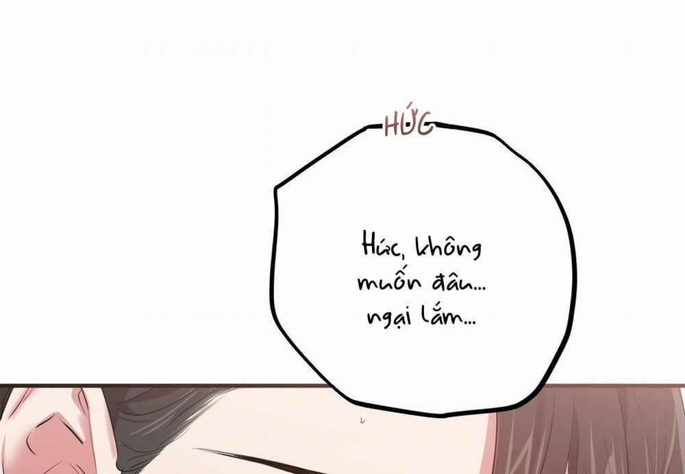 Những Chú Thỏ Của Hapypy 38 trang 117