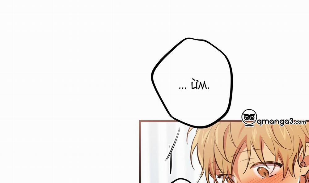 Những Chú Thỏ Của Hapypy 38 trang 156