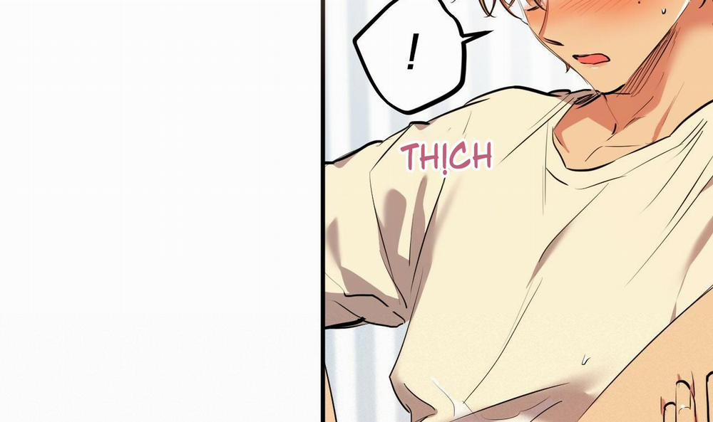 Những Chú Thỏ Của Hapypy 38 trang 157